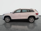 Škoda Kodiaq, 2017