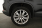 Volkswagen Tiguan, 2010