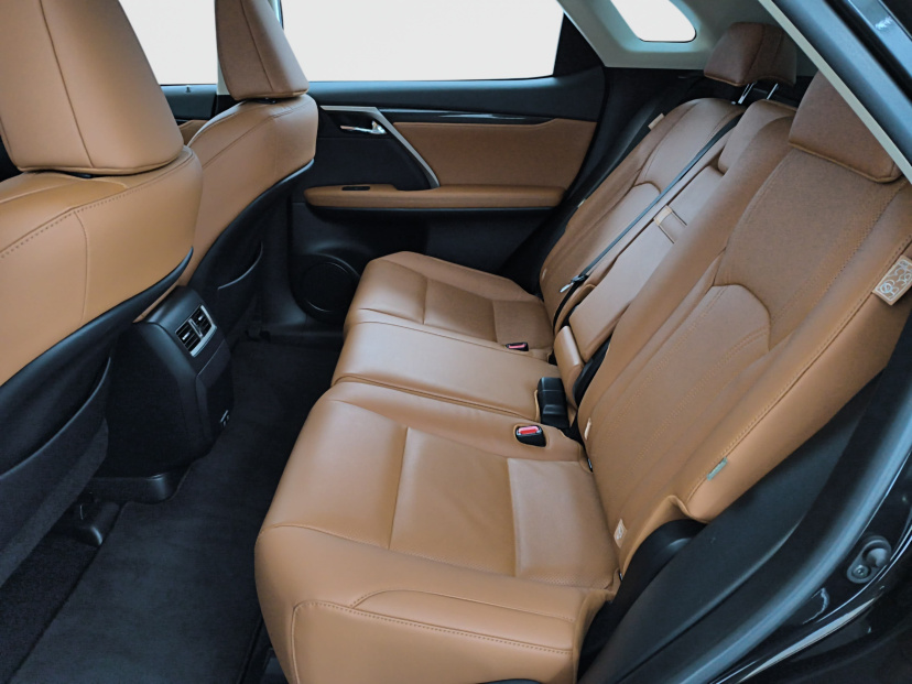 Lexus RX, 2022