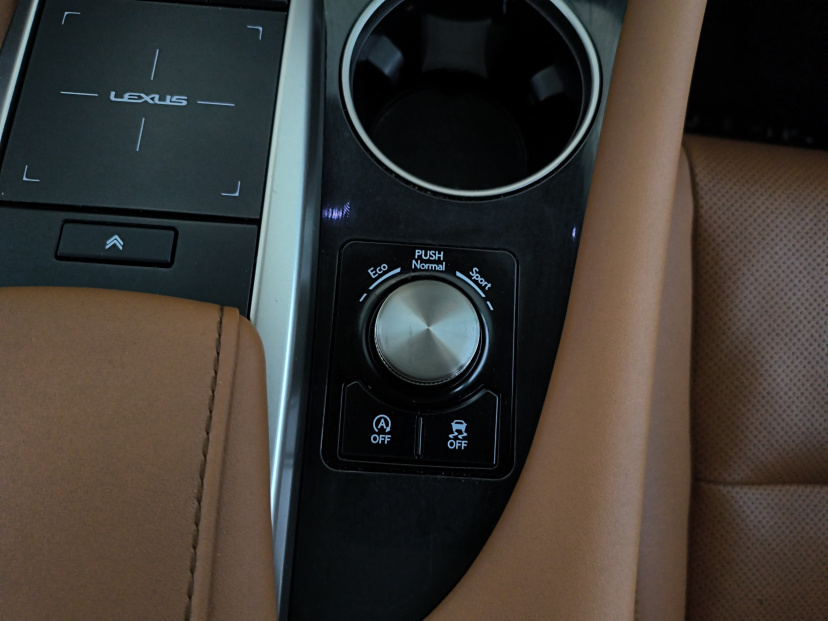 Lexus RX, 2022