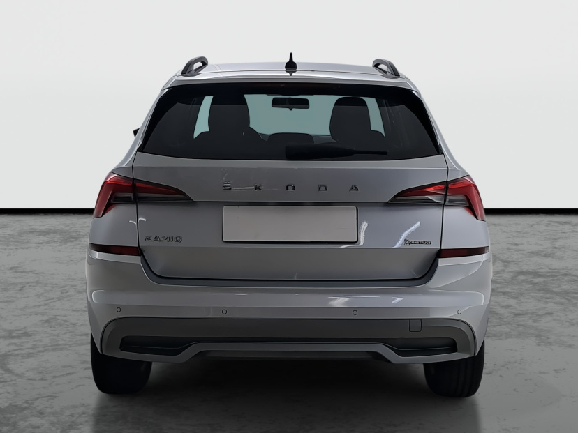 Škoda Kamiq, 2020