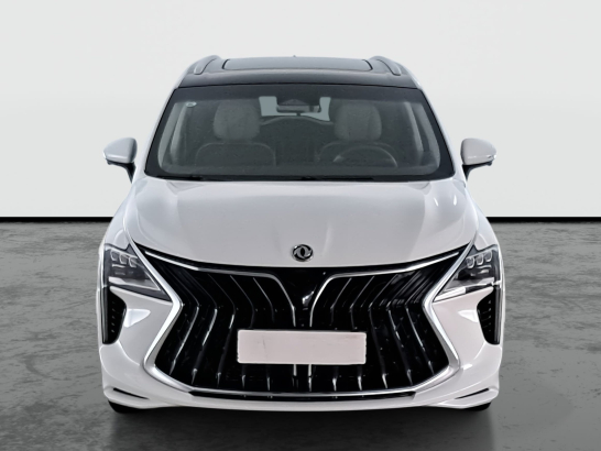 Dongfeng U-Tour