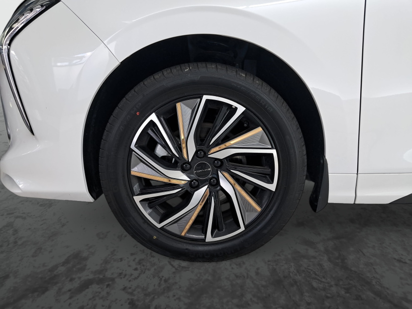 Dongfeng U-Tour, 2024