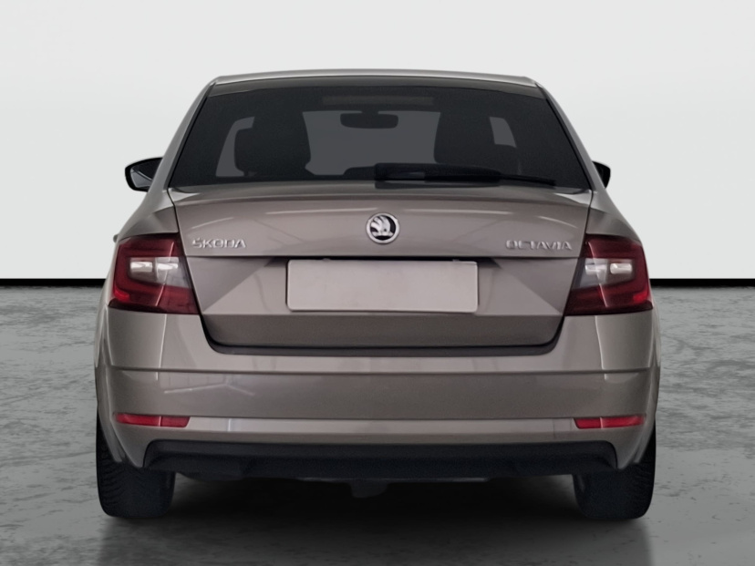 Škoda Octavia, 2019