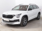 Škoda Kodiaq, 2024
