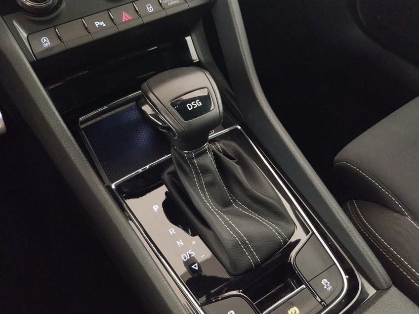 Škoda Karoq, 2020