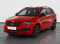 Škoda Karoq, 2020