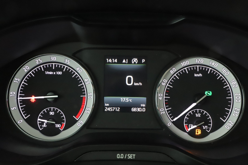 Škoda Kodiaq, 2017