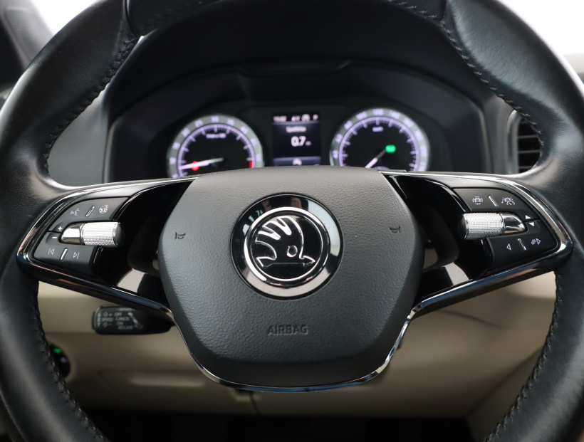 Škoda Karoq, 2020