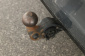 Volkswagen Golf, 2022