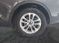 Ford Kuga, 2021
