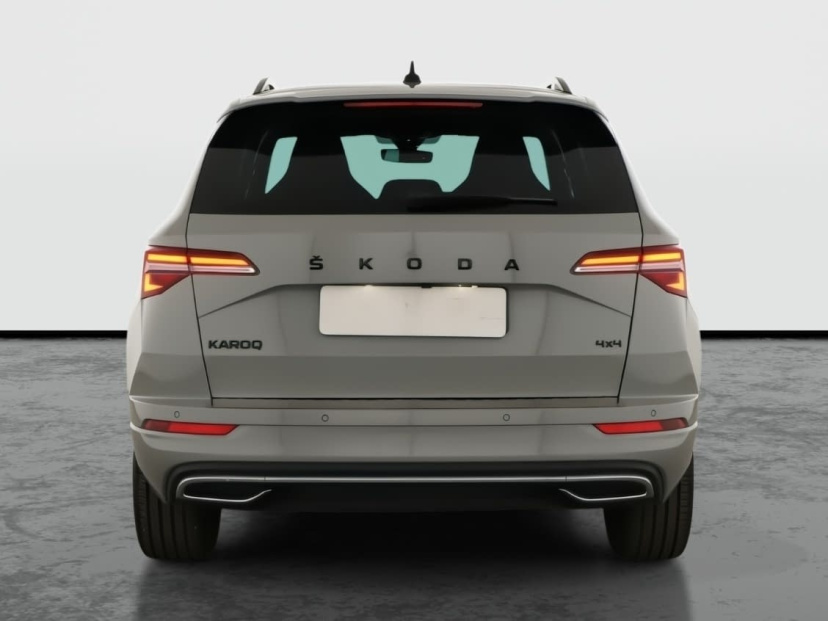 Škoda Karoq, 2022