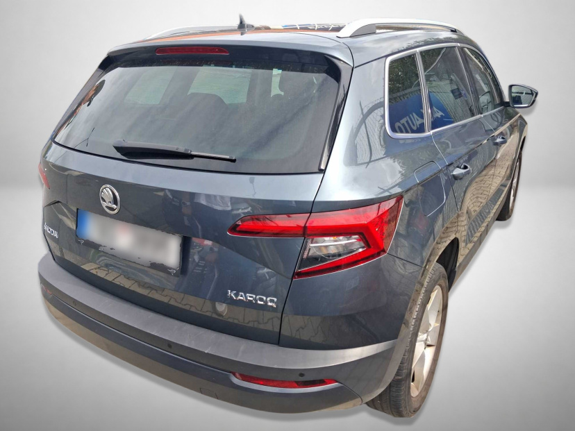Škoda Karoq, 2019