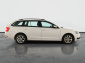 Škoda Octavia, 2018