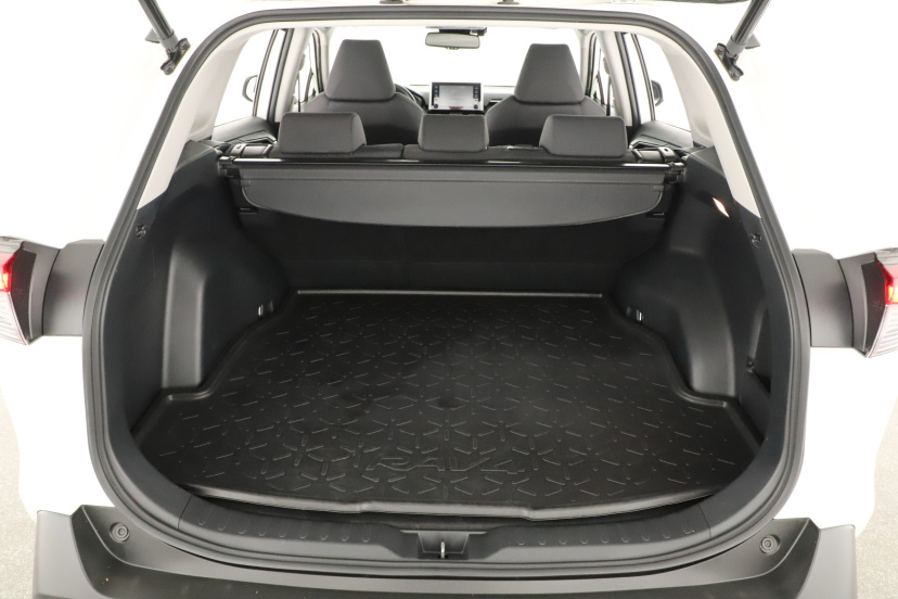Toyota RAV 4, 2021