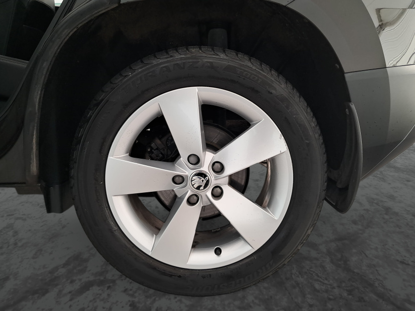 Škoda Karoq, 2018