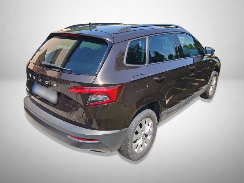 Škoda Karoq, 2020