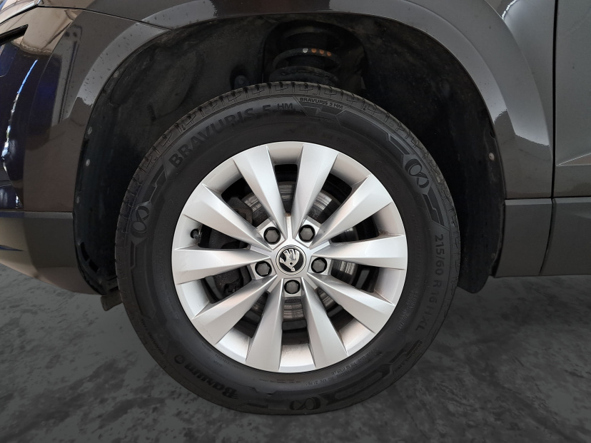 Škoda Karoq, 2020