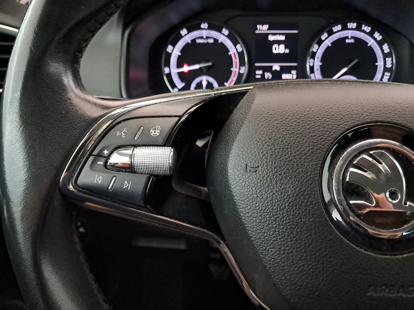 Škoda Karoq, 2020
