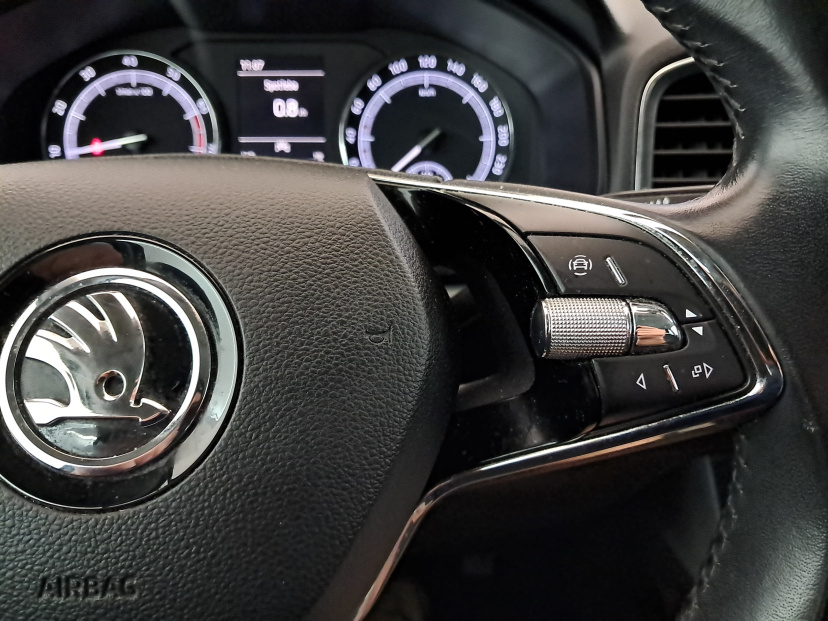 Škoda Karoq, 2020