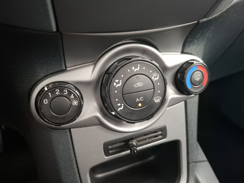 Ford Fiesta, 2009