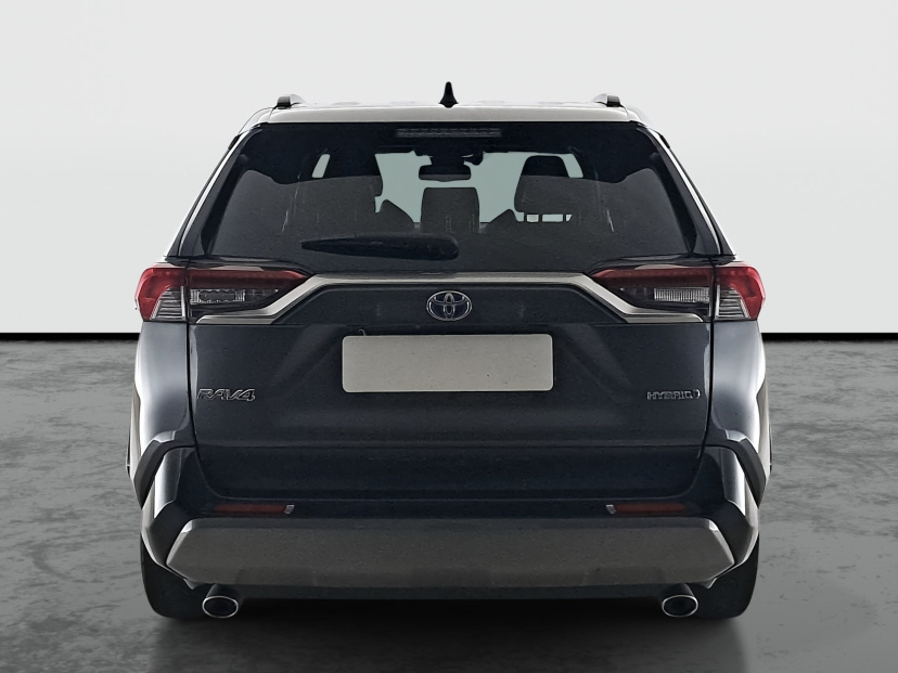 Toyota RAV 4, 2019