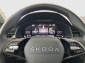 Škoda Kamiq, 2025