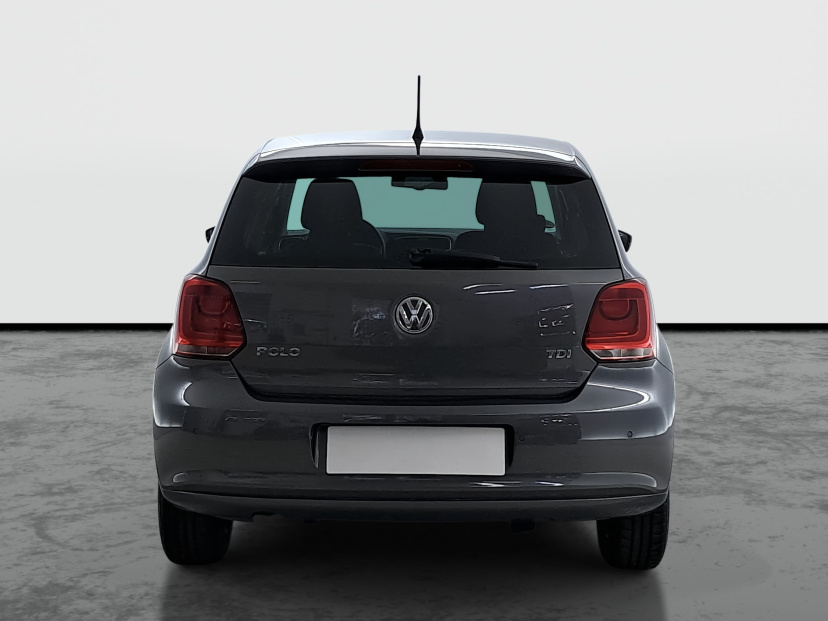 Volkswagen Polo, 2010