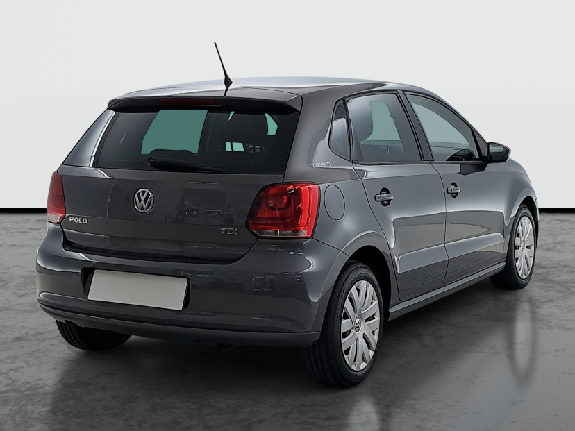 Volkswagen Polo, 2010