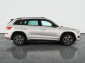 Škoda Kodiaq, 2019
