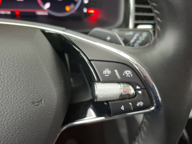 Škoda Kodiaq - 2022