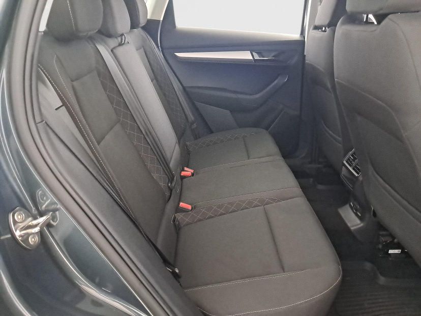 Škoda Karoq, 2019