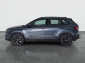 Škoda Karoq, 2019