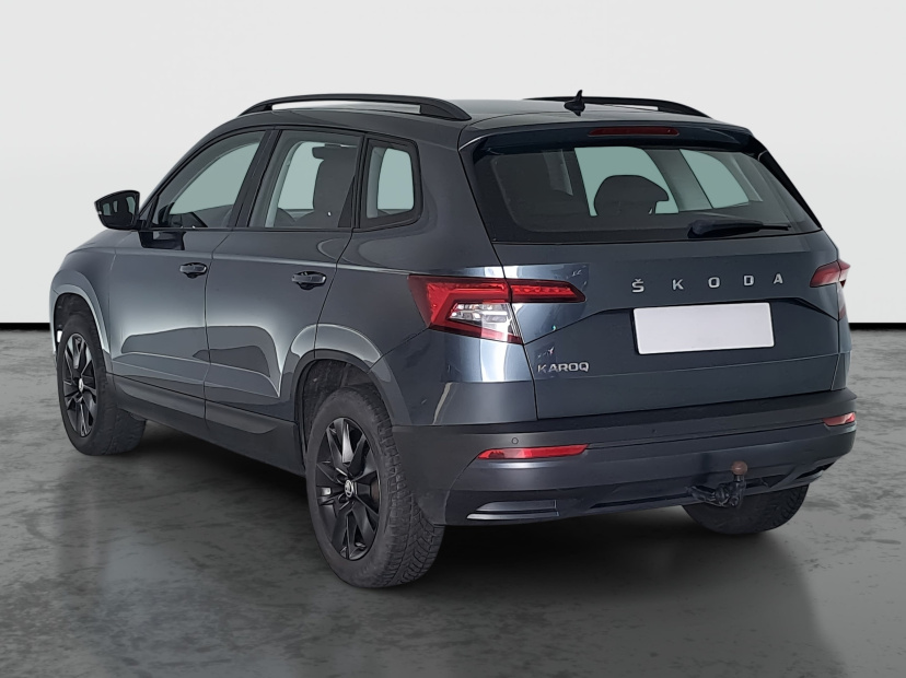 Škoda Karoq, 2019