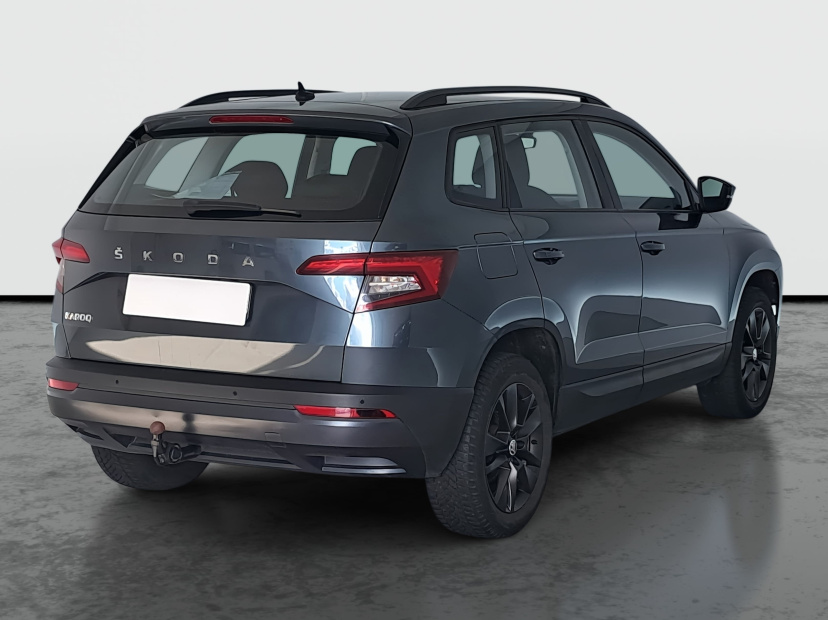 Škoda Karoq, 2019