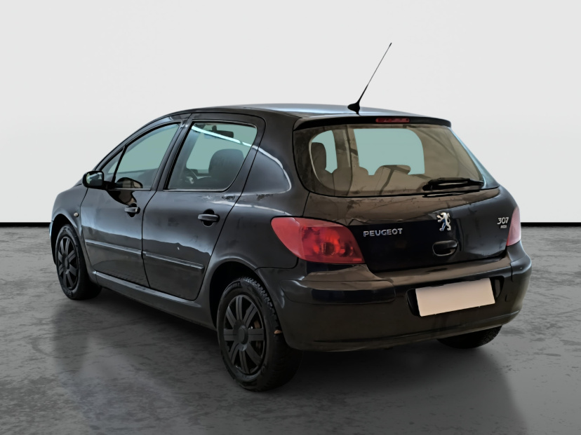 Peugeot 307, 2005