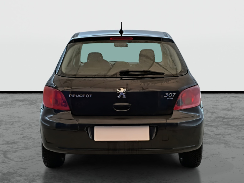 Peugeot 307, 2005