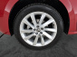 Škoda Kamiq, 2024