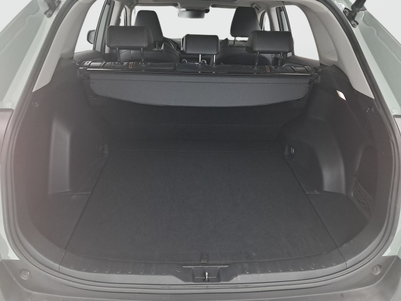 Toyota RAV 4, 2022