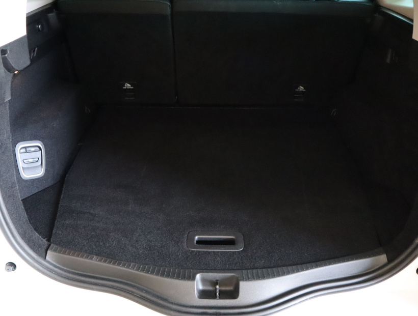 Renault Scenic, 2019