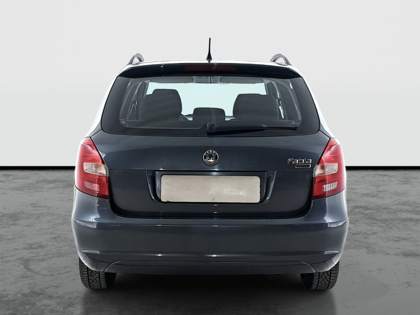 Škoda Fabia, 2010