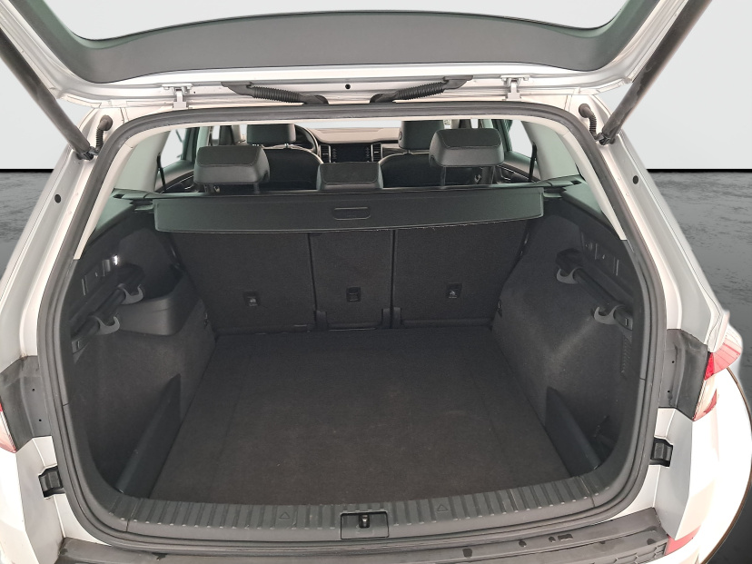 Škoda Kodiaq, 2019
