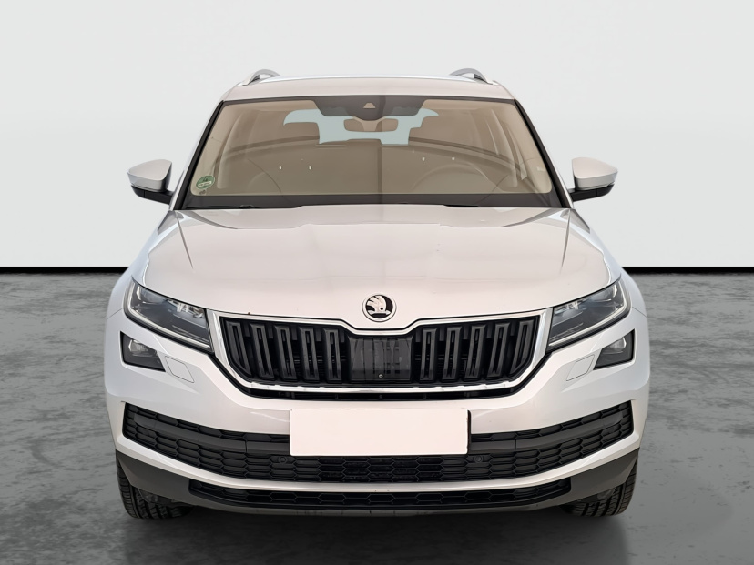 Škoda Kodiaq, 2019