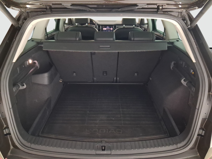 Škoda Kodiaq, 2019