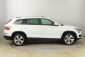 Škoda Kodiaq, 2017