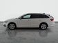 Škoda Octavia, 2021