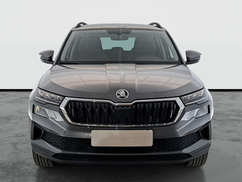 Škoda Karoq, 2023