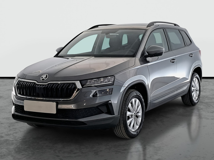 Škoda Karoq, 2023