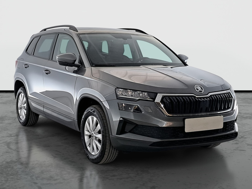 Škoda Karoq, 2023