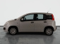 Fiat Panda, 2019